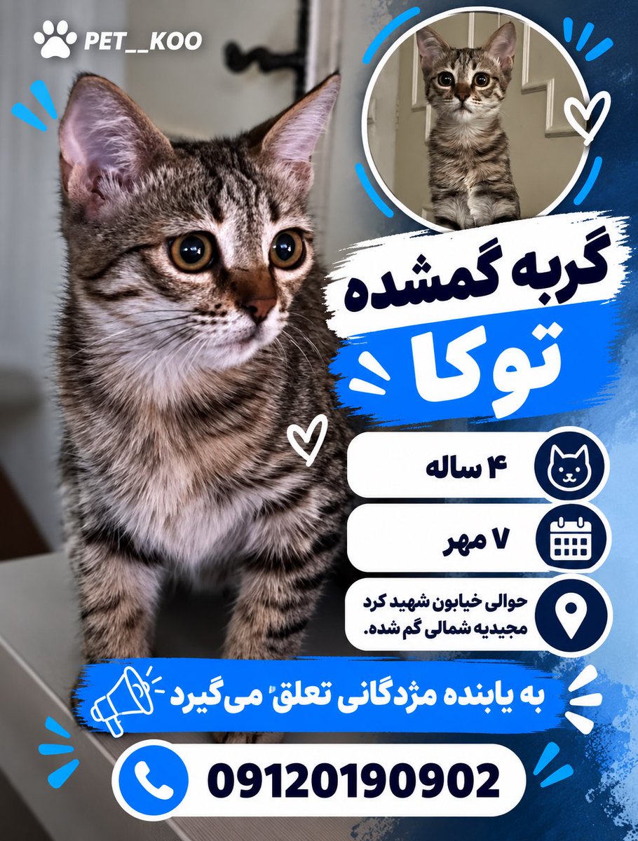 pet__koo's tweet photo. هریک اشتراک، کامنت، لایک شما ممکنه زندگی توکا رو عوض کنه ،

ساده نگذریم…🫆 https://t.co/PYzLIYOi3n