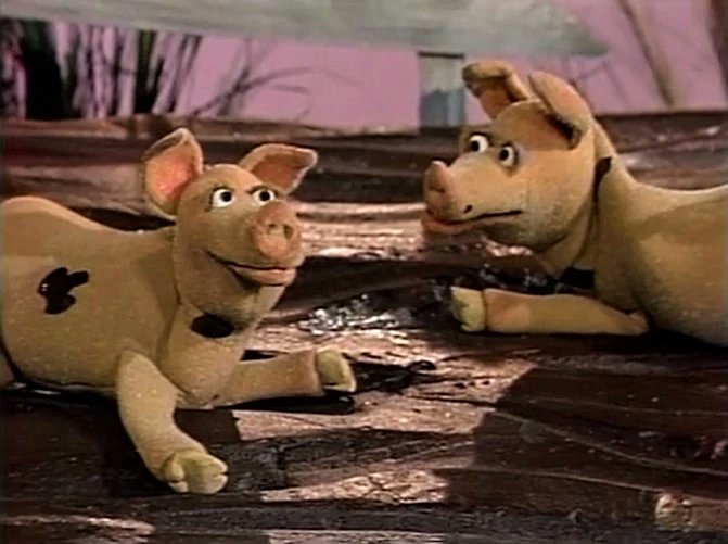 DailyMuppet tweet picture