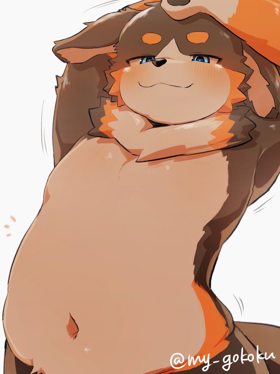 my_gokoku tweet picture