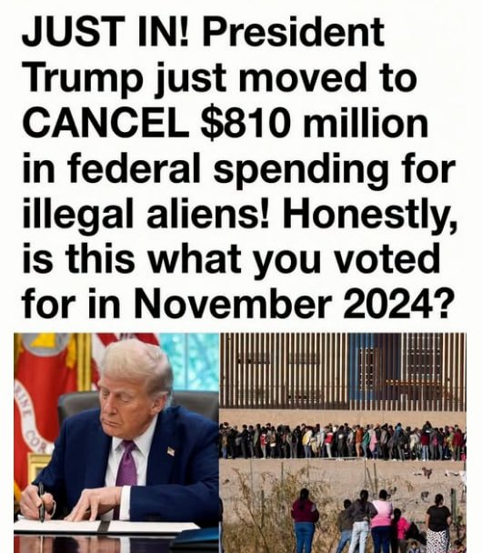 ElephantSignal's tweet photo. 🚨BOOM:

President Trump just moved to CANCEL $810 million in federal spending for illegal aliens.

THIS IS WHAT AMERICA VOTED FOR.

Do you support cutting this spending?

YES or NO? https://t.co/gagACBZsai