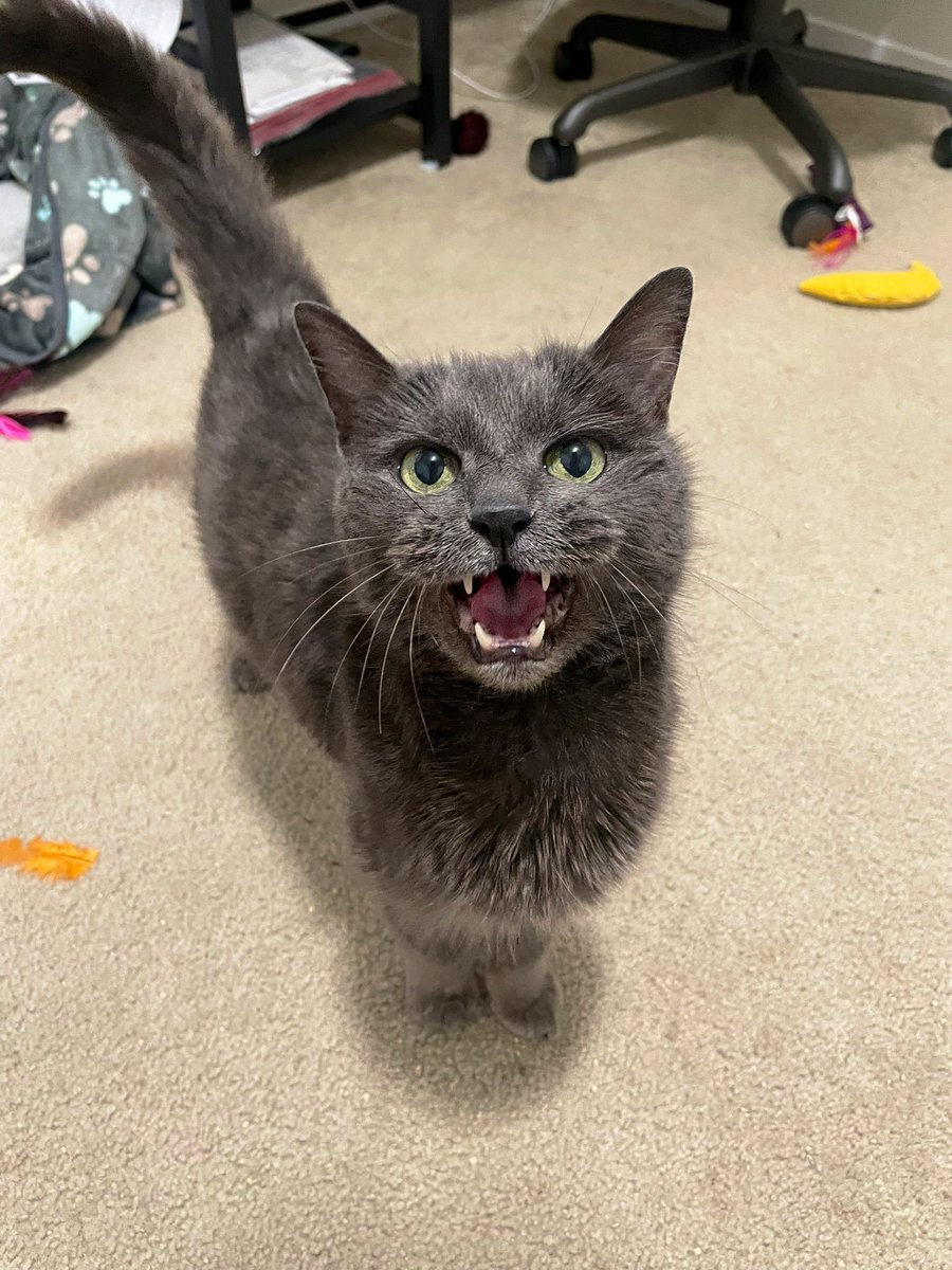 WalterBestBoy's tweet photo. it's Walter Wednesday!! i know Walter would want you to have a beautiful day today ❤️ https://t.co/x9NS2rftbl