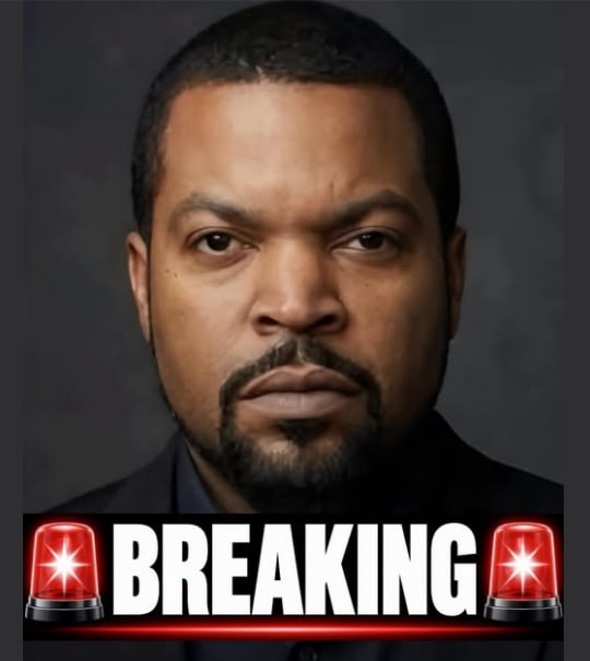 ElephantSignal's tweet photo. 🚨BOOM:

ICE Cube is under heavy fire for reportedly saying:

“Let’s be honest. Donald Trump is a tough man. He can be blunt, outspoken, and unapologetic. But in my lifetime, no one has fought harder for the heart and soul of America.”

Do you agree with Ice Cube?

YES or NO? https://t.co/q5IHEG05Mx