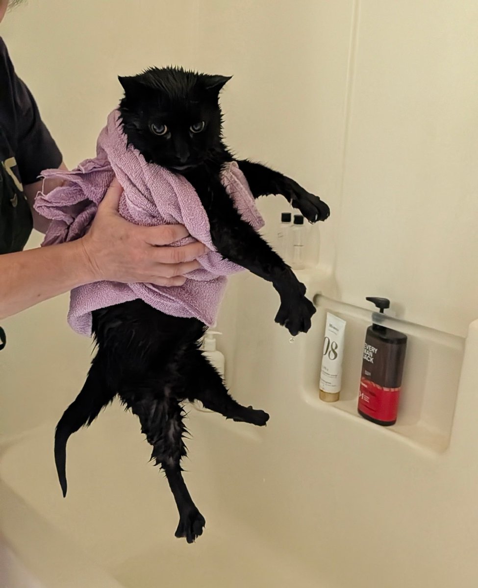 emwheezie's tweet photo. The man with the pee pee paws https://t.co/AlT9oF6tPU