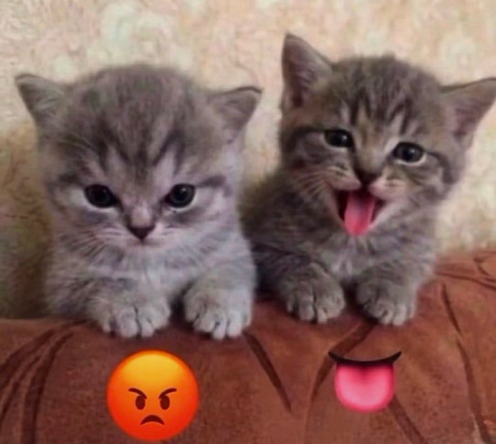 Viooletdoll's tweet photo. أنا وأنا https://t.co/zPPhD4CE9k