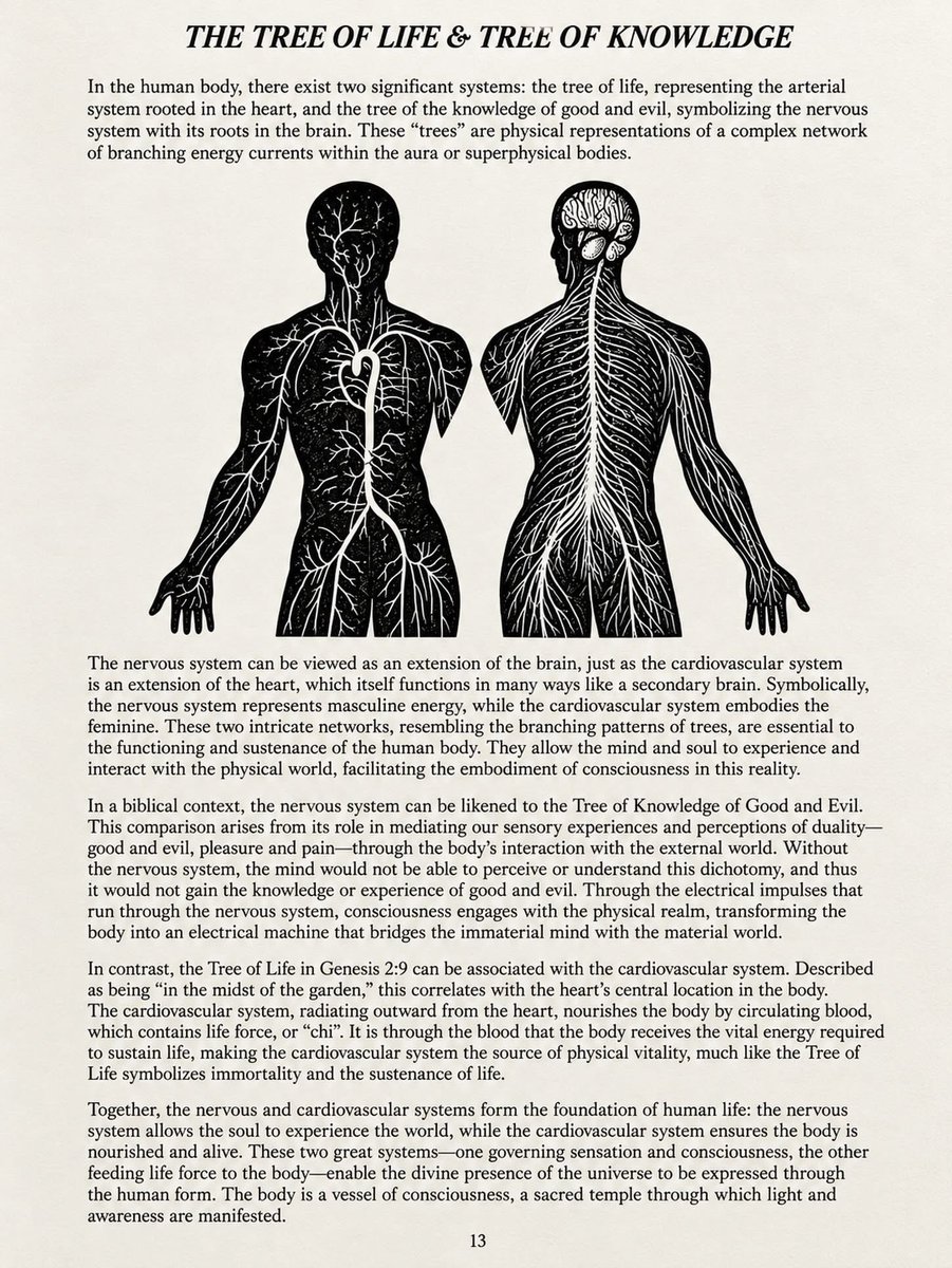 maximumpain333's tweet photo. What if the Tree of Life and the Tree of Knowledge were never just trees?

Look at your own body.

One vast network branches from the brain through the nervous system. Another branches from the heart, carrying blood throughout the body.

Two trees. Two centers. Hidden inside the human temple.

In an esoteric reading, the nervous system becomes the Tree of Knowledge — the system through which you experience sensation, pleasure, pain, and the duality of the physical world.

The cardiovascular system becomes the Tree of Life — rooted in the heart, circulating the blood that sustains physical life.

Suddenly, Genesis begins to look very different.

And this is only one page from Book of Wisdom Volume II.

Imagine how many symbols you’ve looked at your entire life without ever being taught how to read them.

Once you learn the language of symbolism, the Bible becomes a completely different book.

✨🙌🏾💫