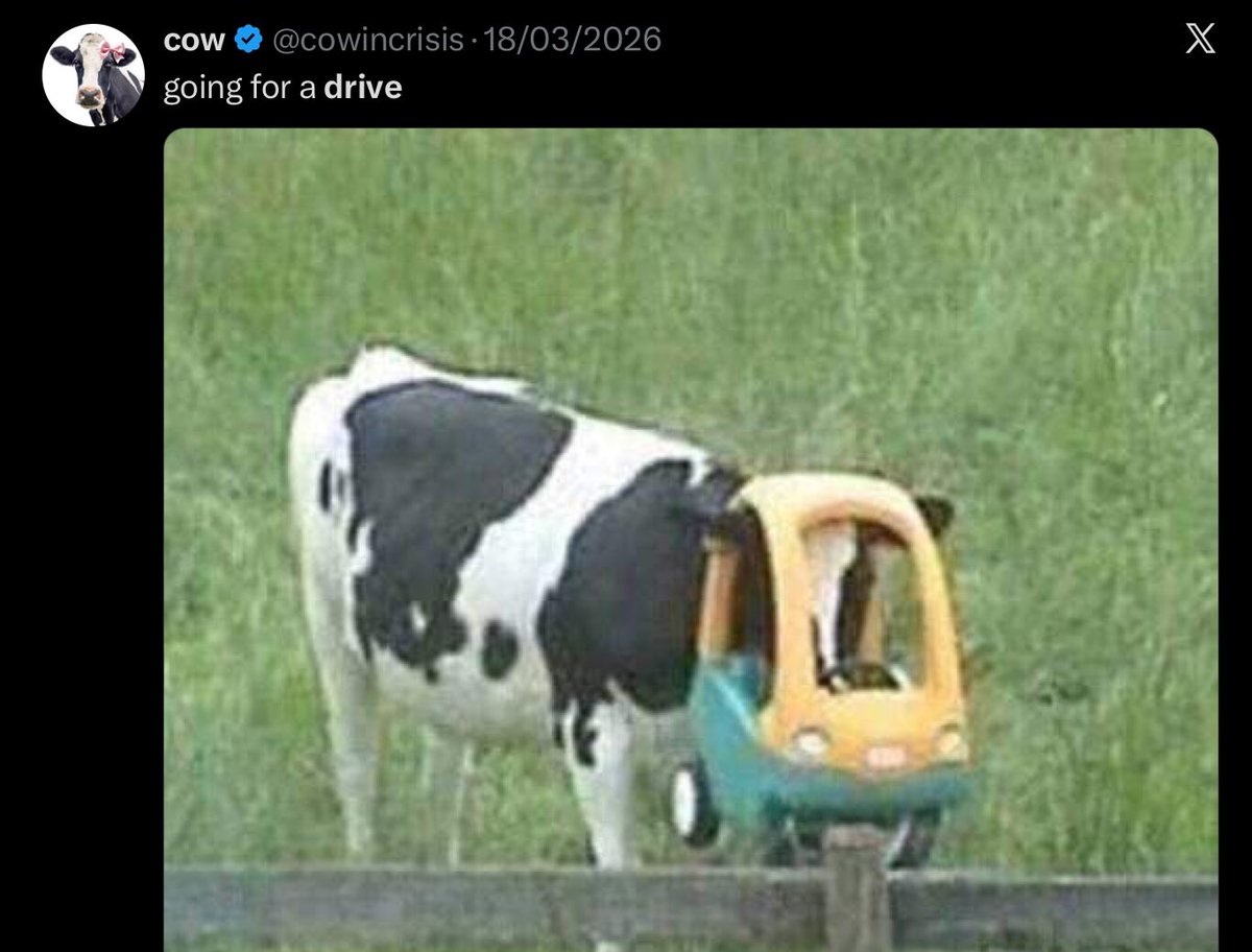 13madson13's tweet photo. @cowincrisis Drive you retard.. 
#IfindRetards https://t.co/EeQ7dxw0zu