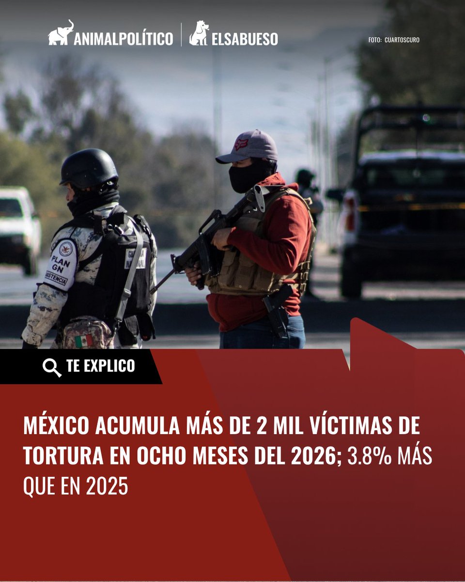 ElSabuesoAP's tweet photo. #TeExplicoElSabu En los primeros ocho meses de 2026, México superó el total de víctimas de tortura registradas en todo 2025. Se contabilizan 2,301 casos en carpetas de investigación del SESNSP, un aumento del 3.8% frente al año previo. https://t.co/qTPMkxqOBF