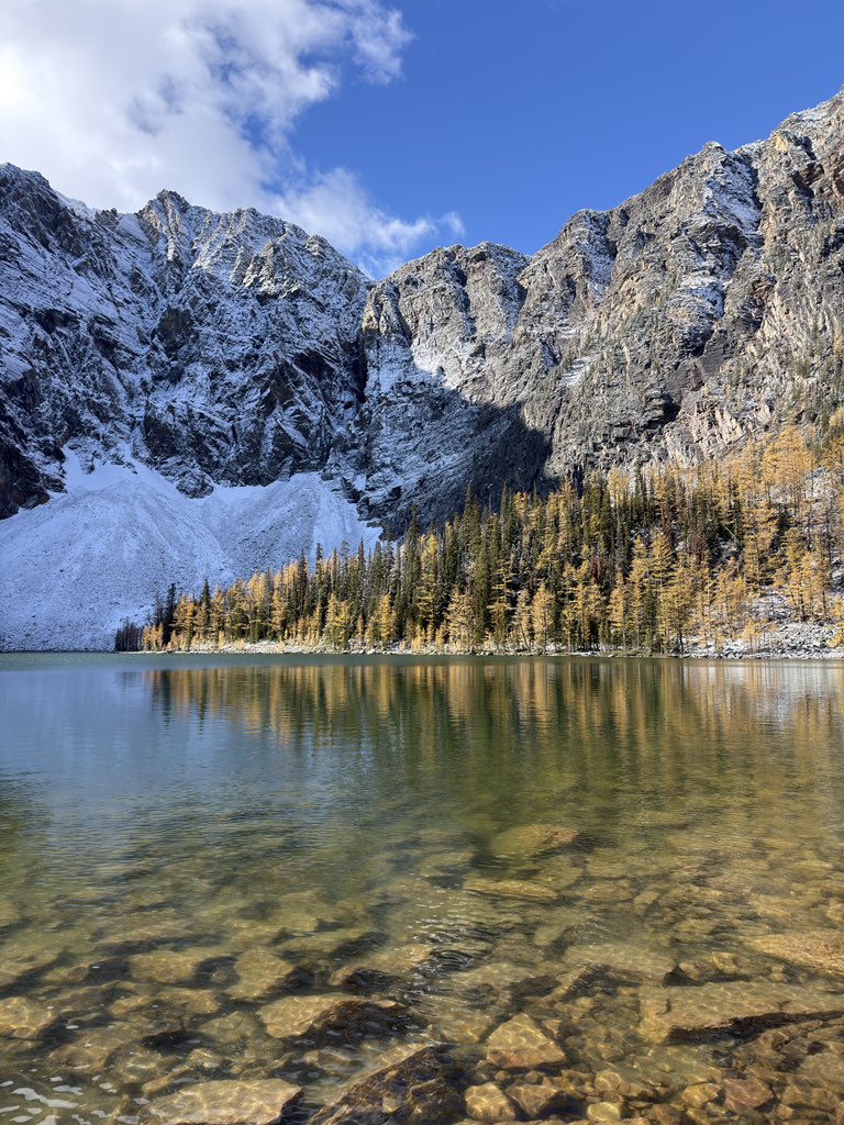 brianovak's tweet photo. arnica and twin lakes https://t.co/ZWXUo7AUFz