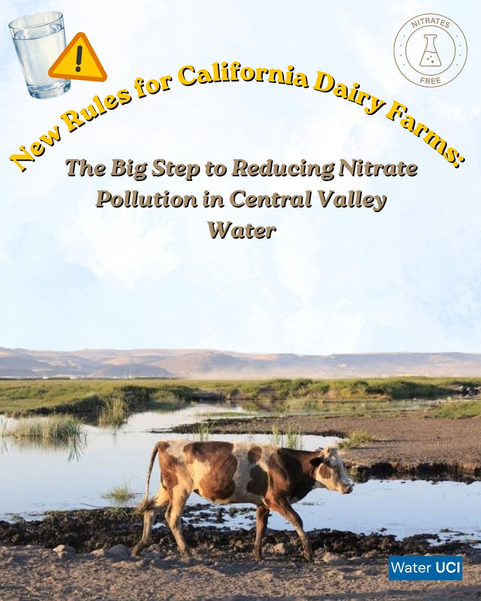 WaterUCIrvine's tweet photo. The #California #StateWaterResourcesControlBoard implemented rules that affect dairy production. They are meant to address the high levels of #nitrate #waterpollution from manure fertilizers on cropland, which causes disproportionate health effects across the #CentralValley. https://t.co/mXDFywYtjv
