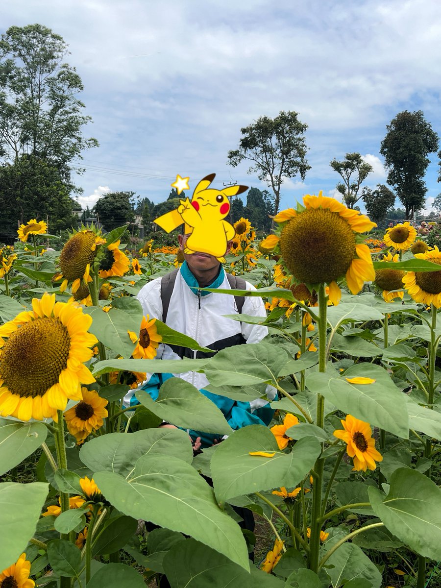 anakalam119's tweet photo. berbunga-bunga.. tapi tidack riba 🌻 https://t.co/dwQ0r07FFI