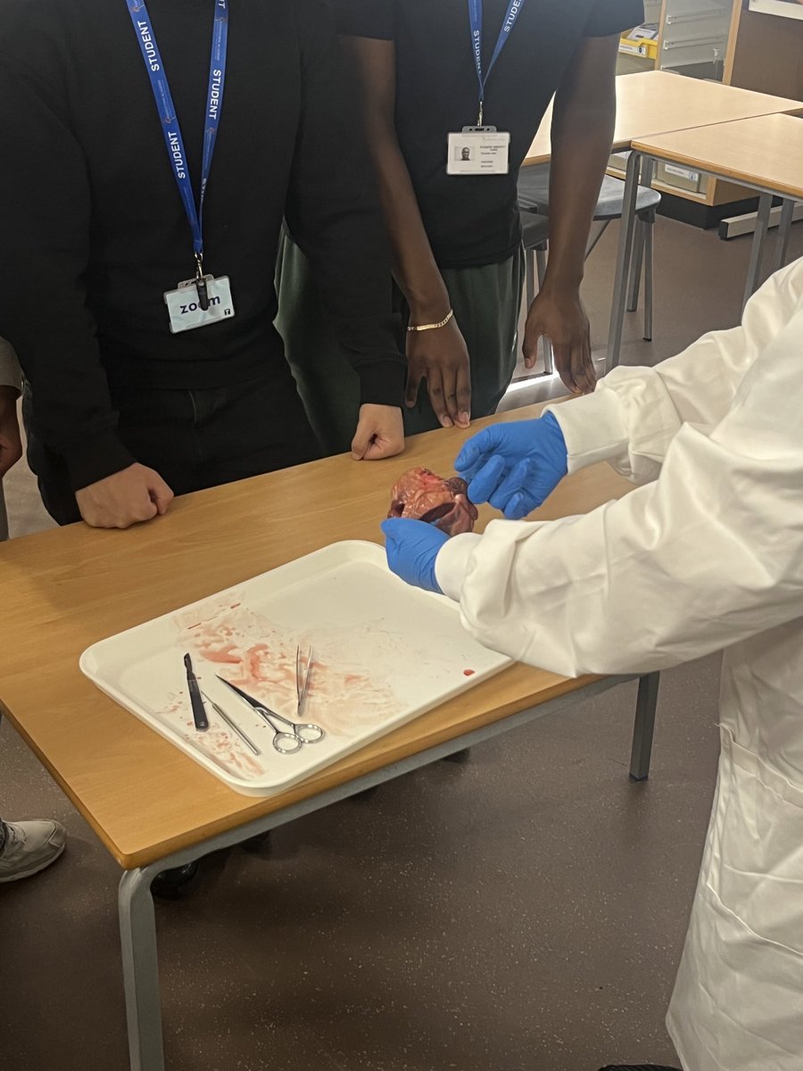 ChapeltownAcad's tweet photo. From theory to practice! 🫀🔬
Our Applied Science students put their knowledge into action during a heart dissection practical. They were amazing — focused, curious and getting stuck into some fantastic hands-on learning! 👏
#AppliedScience #STEM #HandsOnLearning https://t.co/dwN5QvNGS7