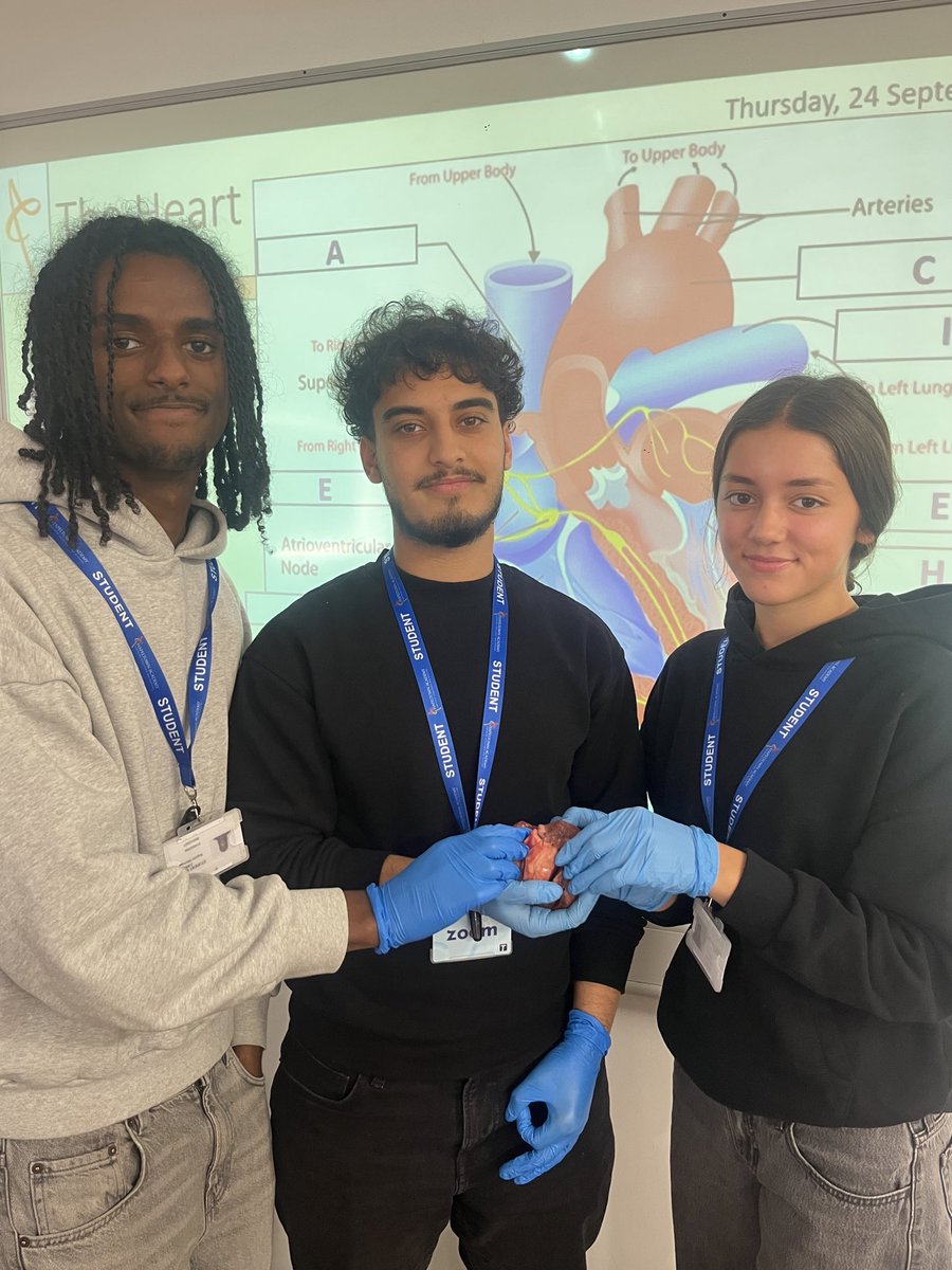 ChapeltownAcad's tweet photo. From theory to practice! 🫀🔬
Our Applied Science students put their knowledge into action during a heart dissection practical. They were amazing — focused, curious and getting stuck into some fantastic hands-on learning! 👏
#AppliedScience #STEM #HandsOnLearning https://t.co/dwN5QvNGS7