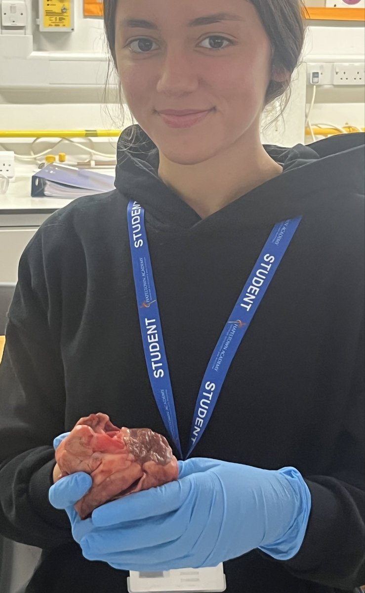 ChapeltownAcad's tweet photo. From theory to practice! 🫀🔬
Our Applied Science students put their knowledge into action during a heart dissection practical. They were amazing — focused, curious and getting stuck into some fantastic hands-on learning! 👏
#AppliedScience #STEM #HandsOnLearning https://t.co/dwN5QvNGS7