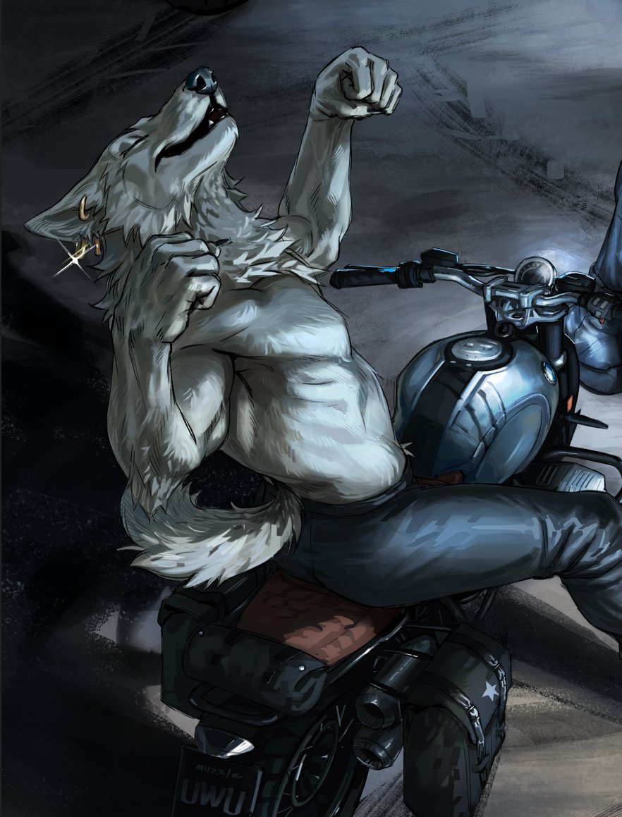 muzzleart_'s tweet photo. Wolves already started terrorizing the streets https://t.co/hcE1RyPrzc