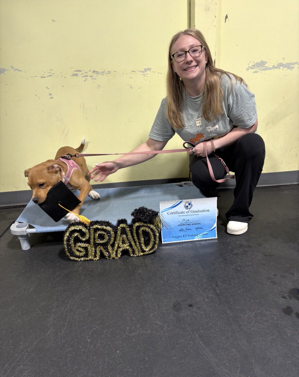 LolaPatolla's tweet photo. Alice now Mia checking in!
Her mom says “we love her so much ❤️ she’s spent time on road trips, being a nosey neighbor, graduating puppy class, and cheering on the bills. 
So happy for this sweet girl! ���️ https://t.co/HuhtJqPkd8