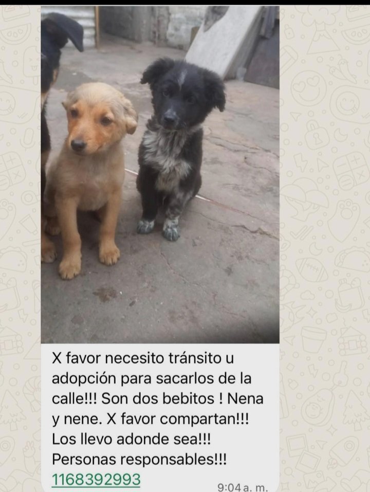 patripeyrou's tweet photo. Rt
Difundimos https://t.co/xJY7MprRsR