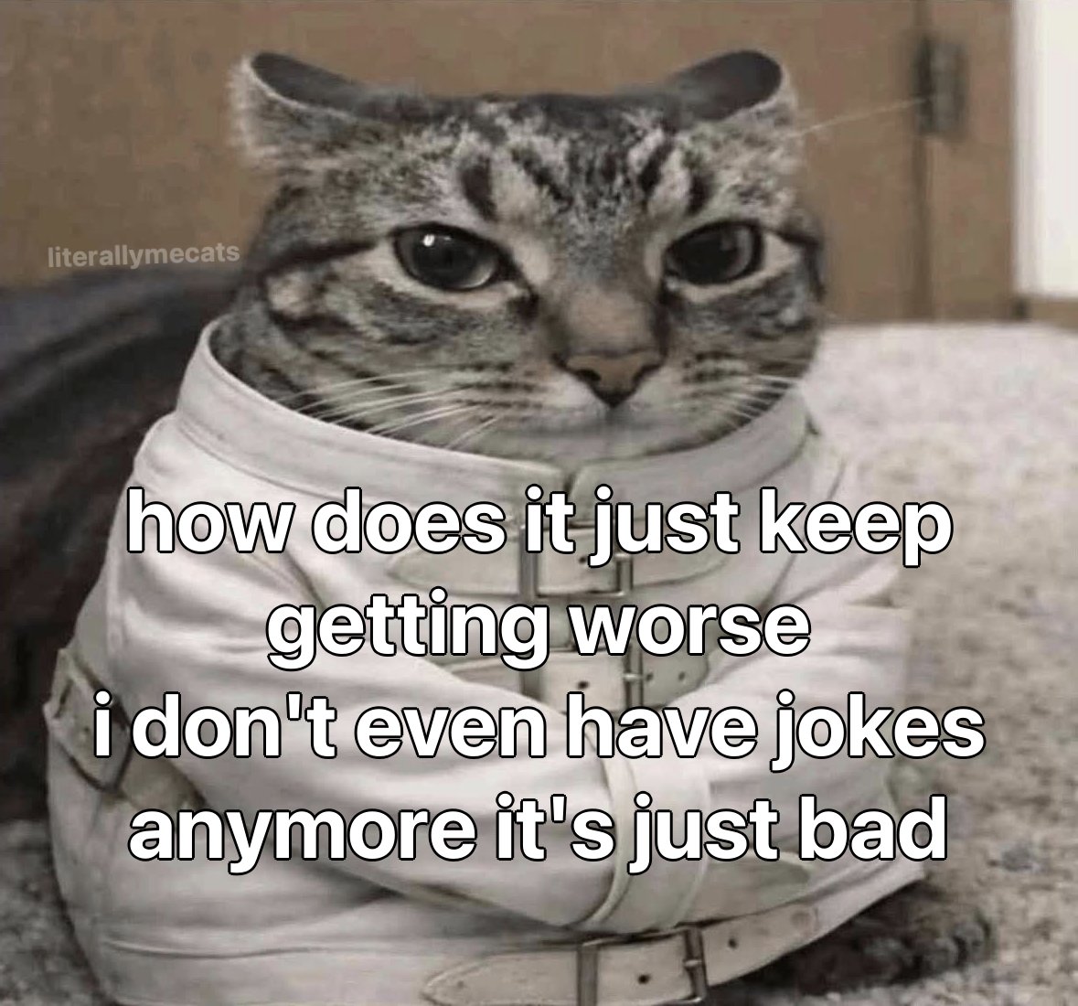 literallymecats's tweet photo. https://t.co/t7VUvlFi4q