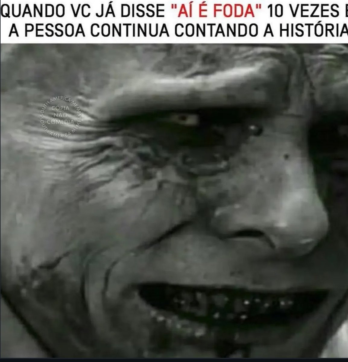 shitpostverdade's tweet photo. https://t.co/SS52F9zdkz