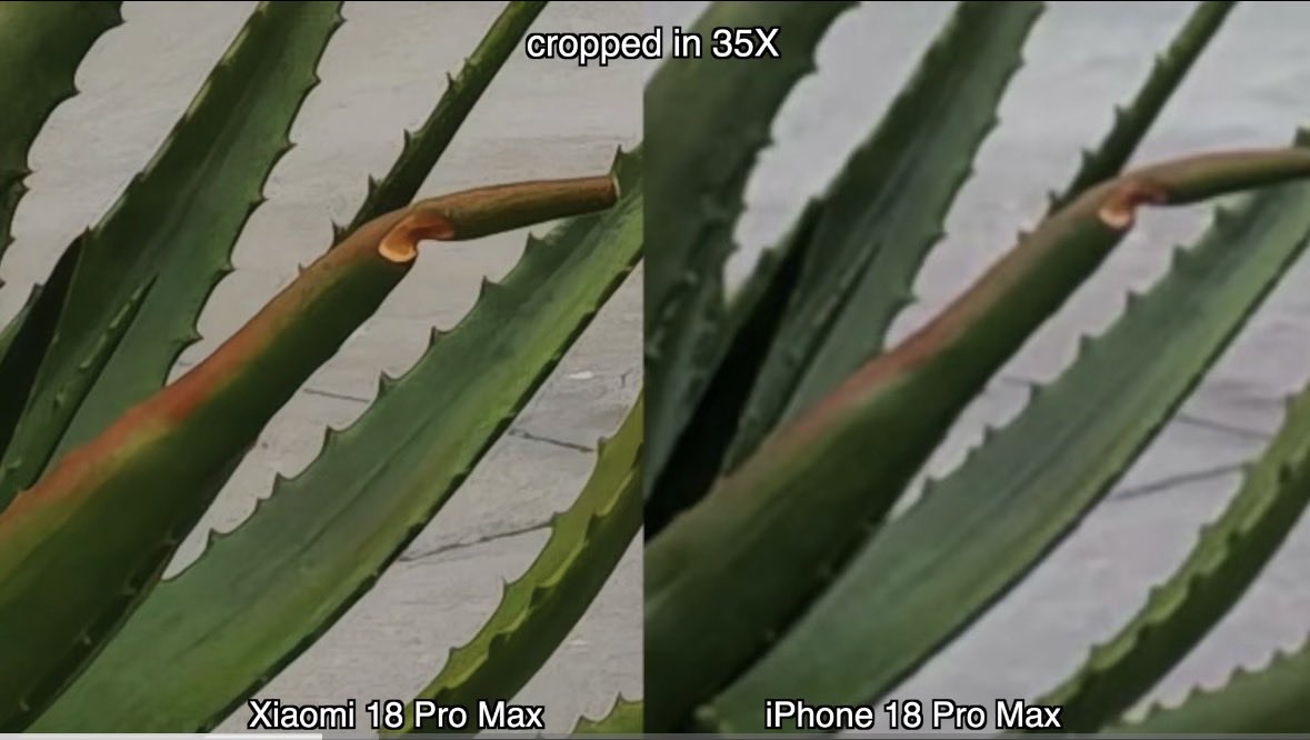 Androiq's tweet photo. Zoom test: Xiaomi 18 Pro Max vs. iPhone 18 Pro Max! 📸🔍
At 35X zoom, Xiaomi retains significantly more detail and sharpness on the plant's texture. 🌿
Even at 15X zoom, Xiaomi delivers punchier colors and cleaner edges on the red surface. 🔴  
Which zoom performance do you prefer? 👇
#Xiaomi18ProMax #iPhone18ProMax #Tech #SmartphonePhotography #ZoomTest