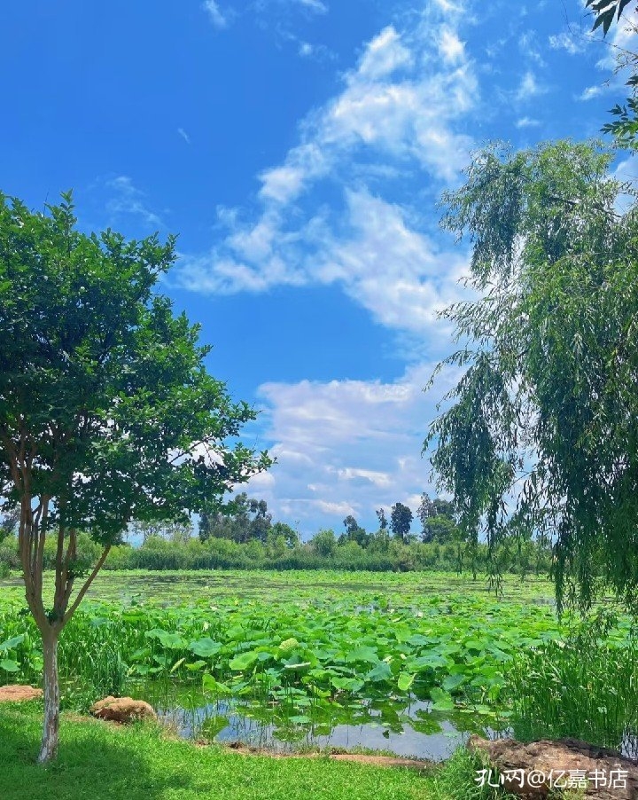 wolf_amber__88f's tweet photo. Chased the morning breeze at 蒂云匚! Stunning sky and fresh vibes here ， https://t.co/fw4mew2o8D