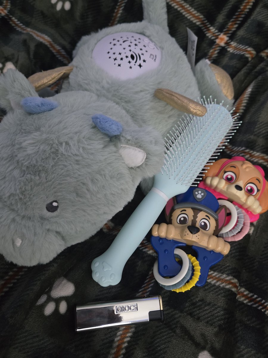 cygytss's tweet photo. plush light from tj max
brush from miniso
rattles from dollar tree
and the paw patrol plushies are from cvs a few days ago :] https://t.co/ISKcAK3crr