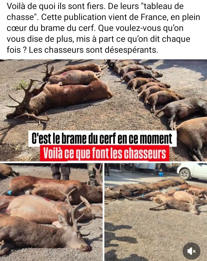 AdeaClaude's tweet photo. Via FUTUR ASSO https://t.co/v7JjIKMqV1