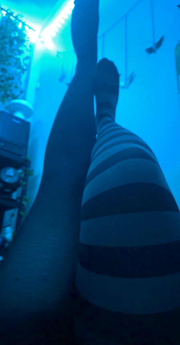 goodboy51o's tweet photo. Trying out my stoking, my thighs r so thick they become see trough
#thighs #tocking #feet #thic #nsfw #nsfwtwt https://t.co/iNqa69UB1O