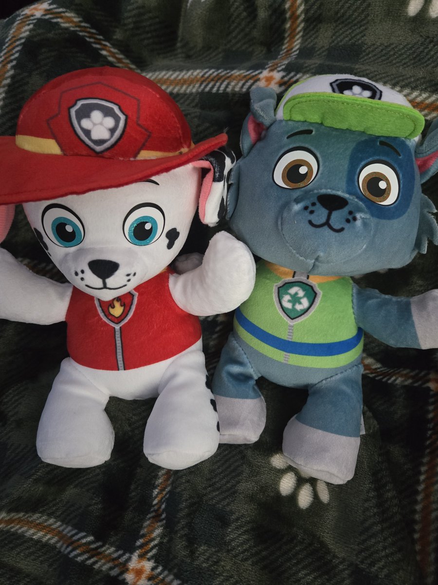 cygytss's tweet photo. #agere haul :3
#ageretwt #agetwt https://t.co/c5aKH8L2uX