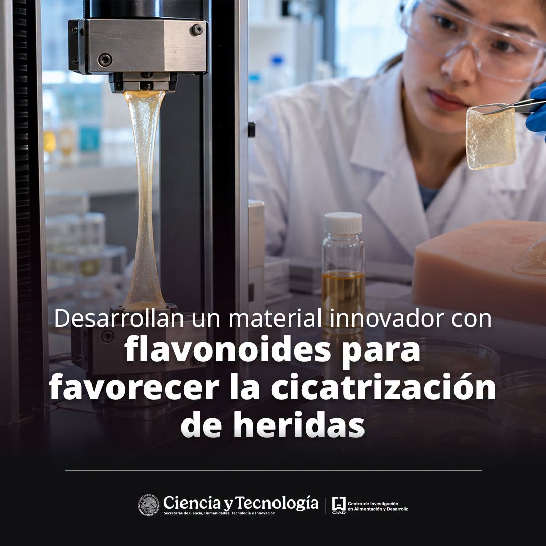 ciadmx's tweet photo. Especialistas crearon eutectogeles capaces de liberar compuestos naturales de forma controlada, con resistencia, adhesión y actividad antioxidante y antimicrobiana; los resultados son prometedores para el cuidado de la piel
https://t.co/P9JDExZaGc https://t.co/WmljgVSf7M