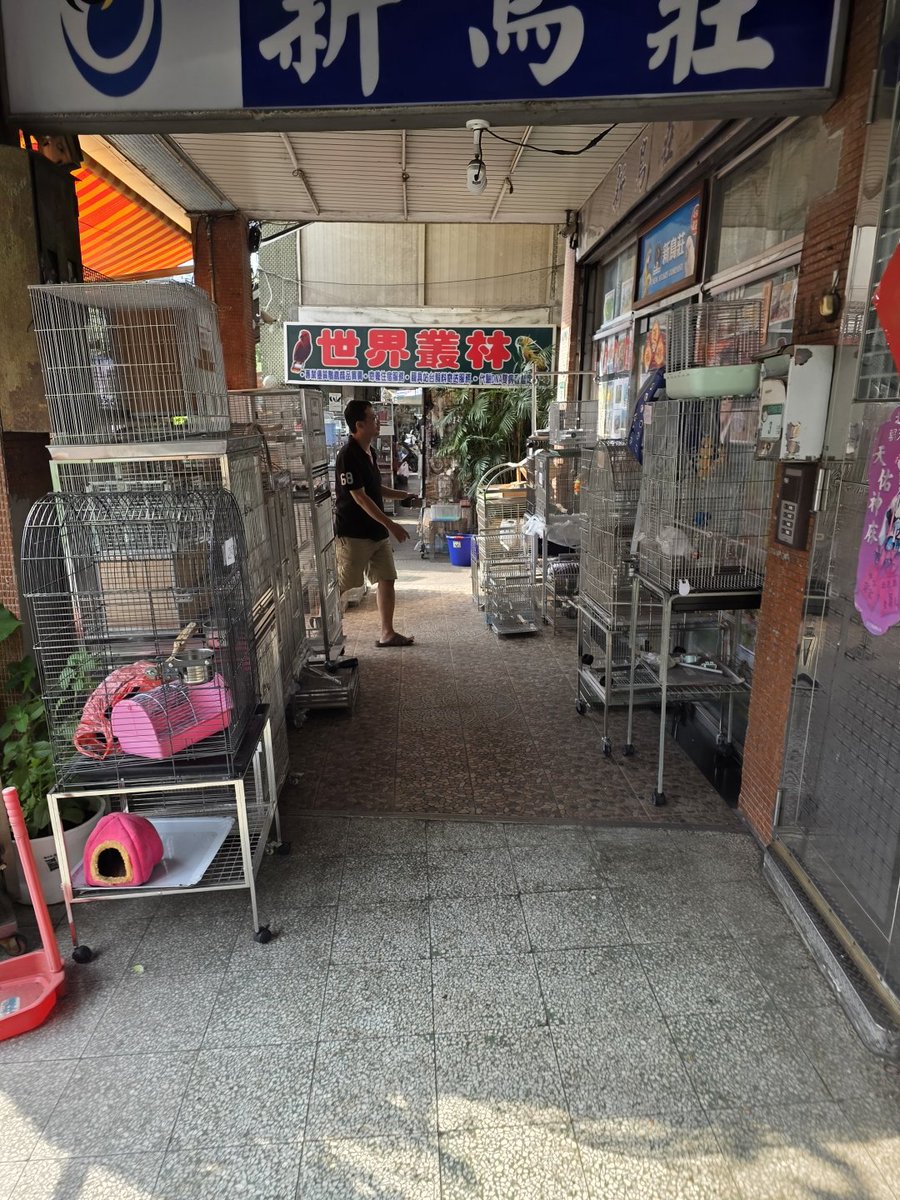 Velvet_Atlas's tweet photo. There aren’t any especially fancy decorations here, just a very ordinary street.But I stood there for a while looking around, and somehow I found it really interesting. https://t.co/4FiWfOK3t3