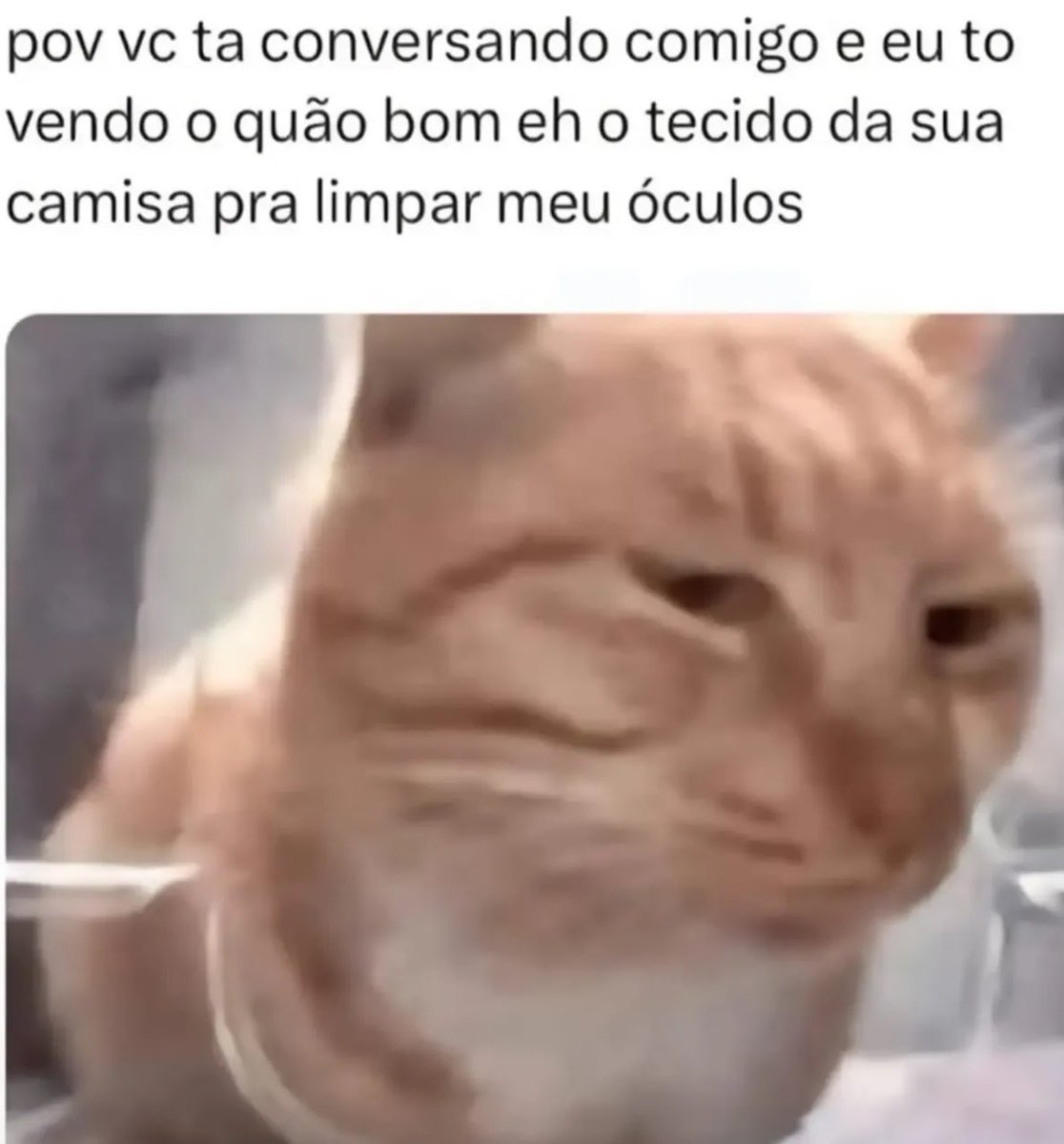 shitpostverdade's tweet photo. https://t.co/KJjwEfv1Xj
