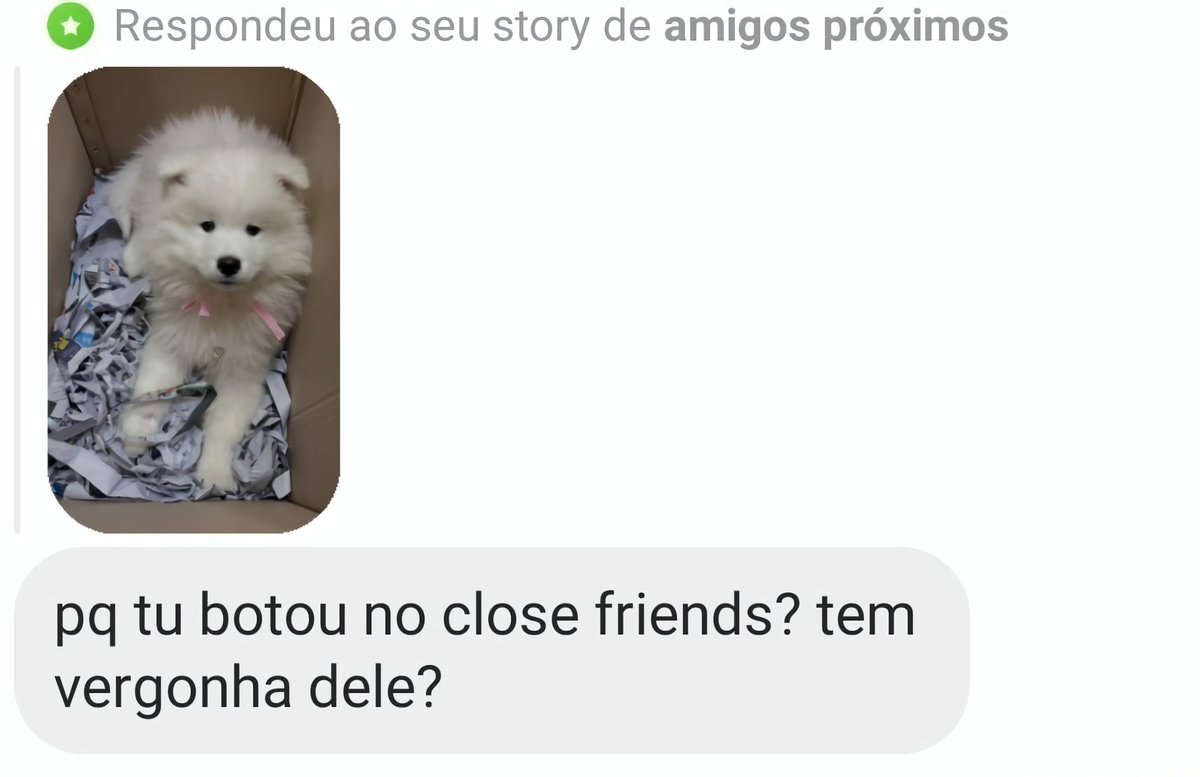 LisaAcervo's tweet photo. O LamLam bem assim no Instagram da Lisa https://t.co/XenbaAHSFG