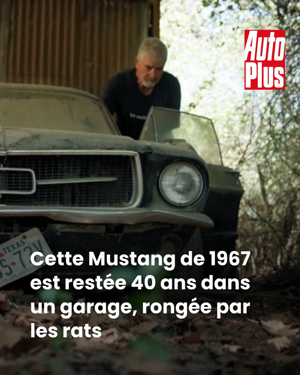 AutoPlusMag tweet picture