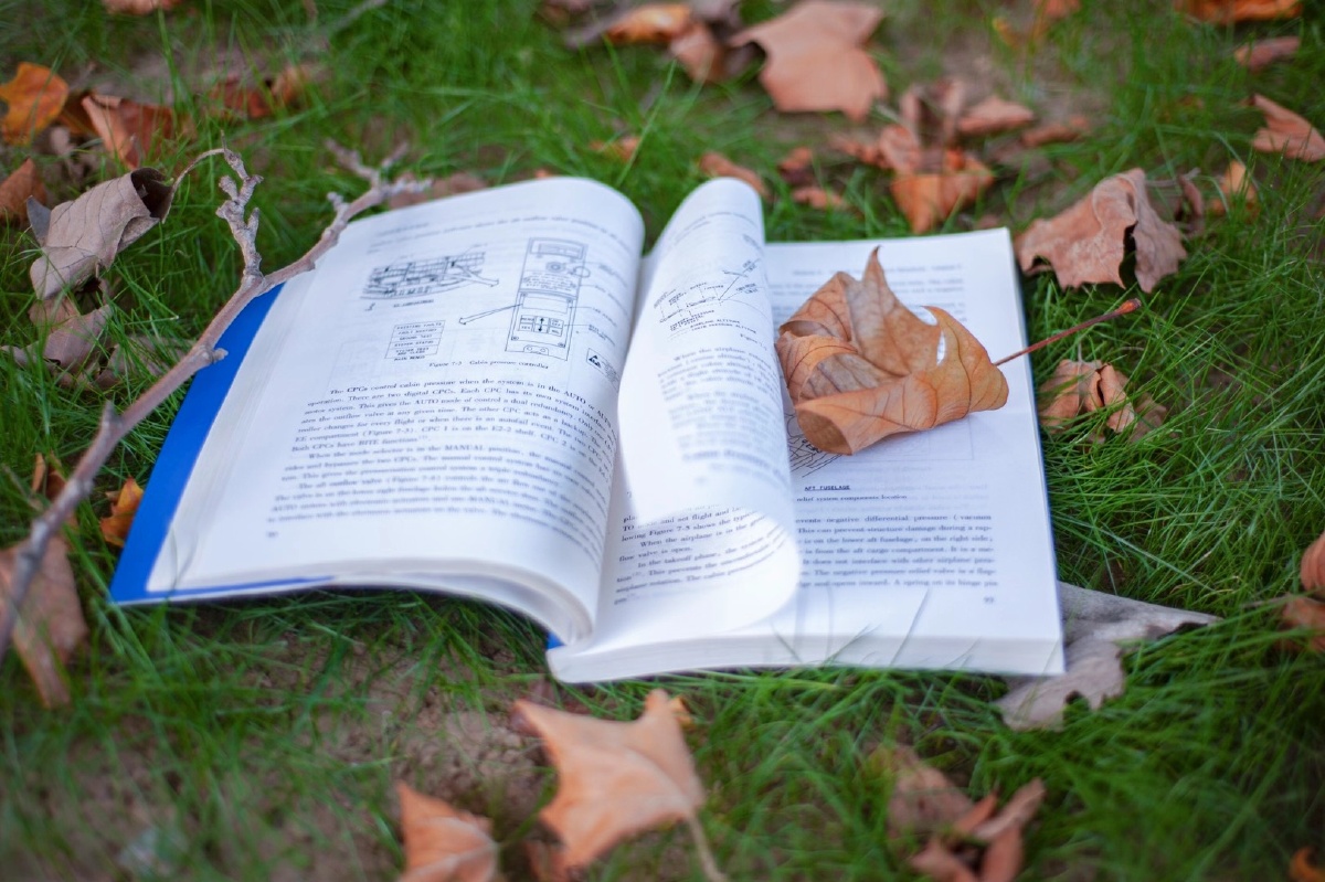 Atkinert's tweet photo. Leer libros cada día es un viaje corto hacia mundos increíbles. Hoy elige un libro nuevo y empieza a leer!， https://t.co/TtCBcY8eyW