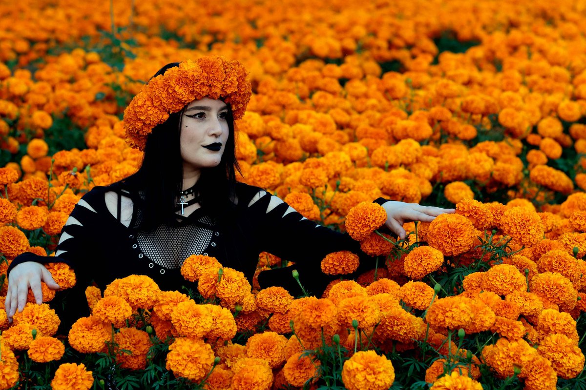 Aderson4arqo's tweet photo. Hoy es el Día de los Muertos, arrancamos las ofrendas de calabaza, cempasúchil y música! ， https://t.co/eZOrtwcadF