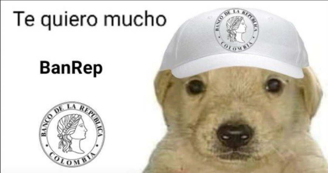 FelipeCamposPC's tweet photo. El BanRep subió tasas con 5 votos a favor. Se derrumba un año de teorías de persecución: los mismos que se las subieron a Petro ahora se las suben dos veces a ADLE. Y, para rematar, es probable que el propio ministro Gómez también haya votado el alza. https://t.co/te4orWvPYD