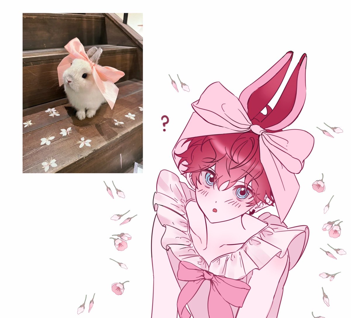 hiiro_waguwagu's tweet photo. Gender : Bunny https://t.co/0e9kLky9wh