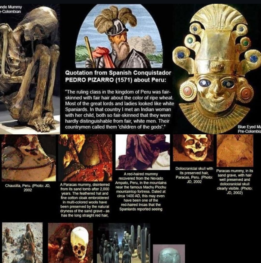 AryanWorldOrder's tweet photo. @turtleisl_girl @buckthebigguy77 >Blonde white Peruvian

"Natives" weren't only one race.

Some other whites beat the spaniards here. https://t.co/ANP4t7rYrS