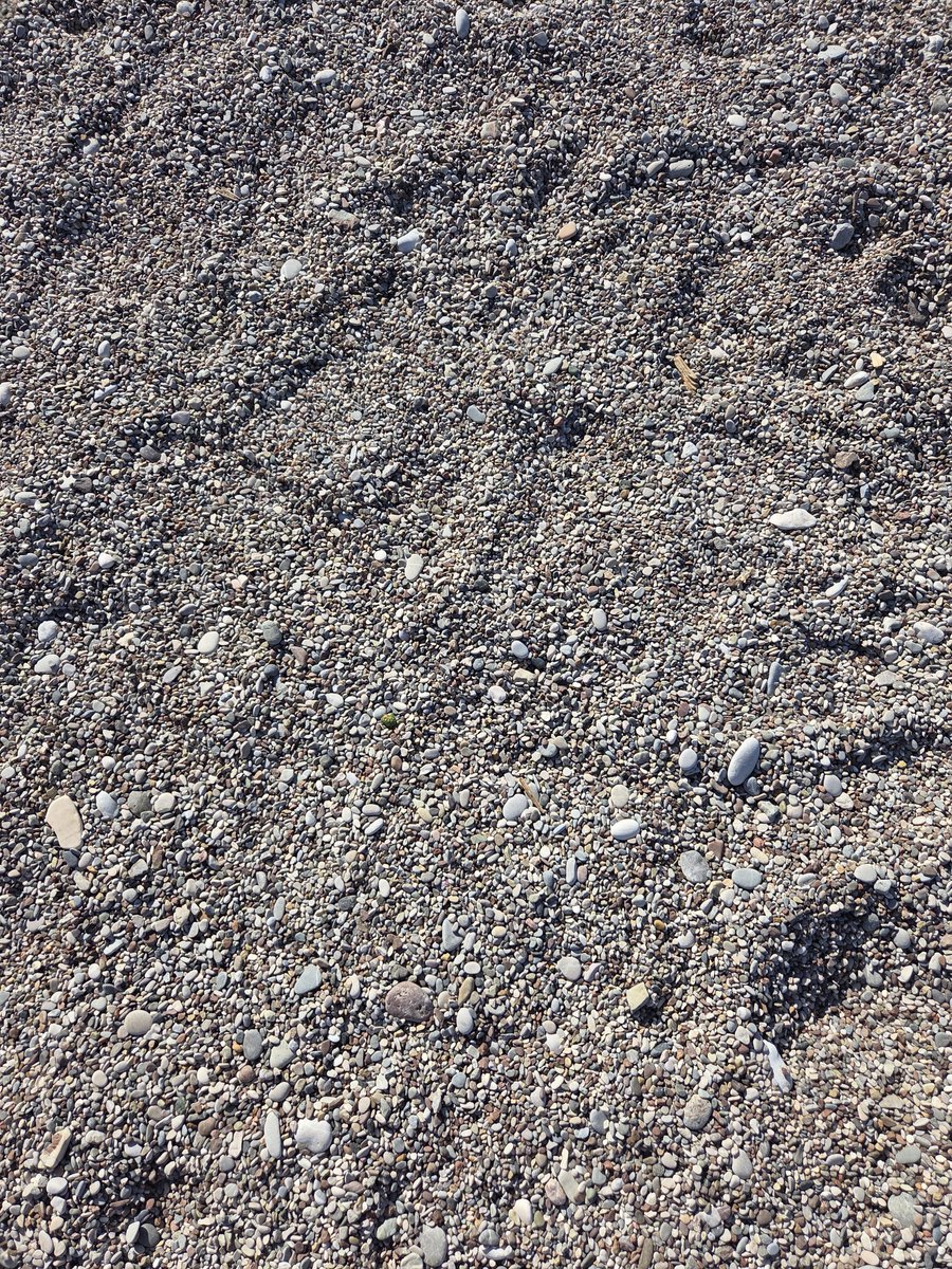 faredensatilik's tweet photo. Canı sıkılan götüne yıldız yapışmış carettayı bulmaca oynayabilir 🐢 https://t.co/GzFrKnHUqV