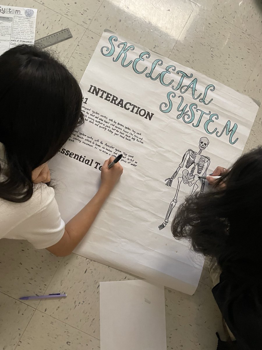 cortezjocelyn98's tweet photo. Projects here! Projects there! Projects everywhere 🤩 

7th graders @TAGinPG are finalizing their body system research posters as we wrap up 7.13A Body Systems 🧠🦷🫀🫁

@DrReyC @AP_Pegues @disdstemscience 
#Region4SayNoMore https://t.co/tctNdBOkmi
