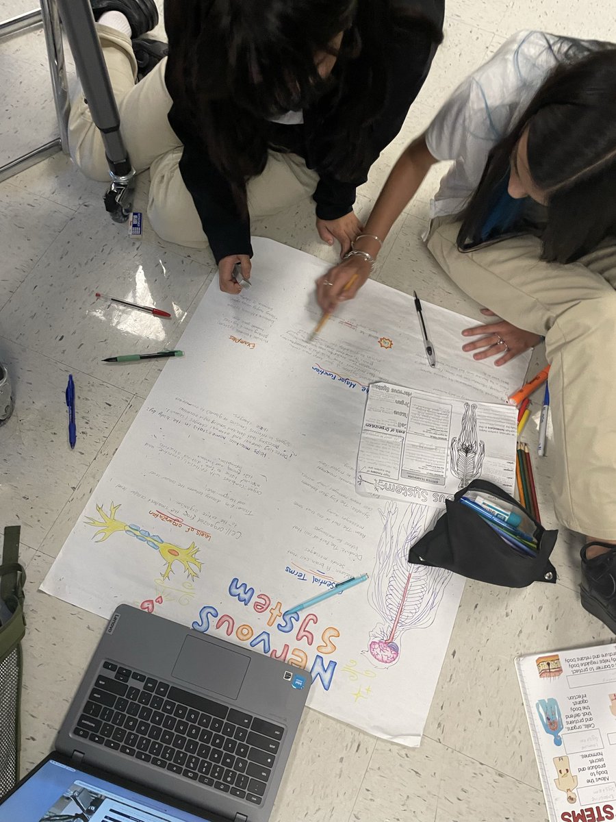 cortezjocelyn98's tweet photo. Projects here! Projects there! Projects everywhere 🤩 

7th graders @TAGinPG are finalizing their body system research posters as we wrap up 7.13A Body Systems 🧠🦷🫀🫁

@DrReyC @AP_Pegues @disdstemscience 
#Region4SayNoMore https://t.co/tctNdBOkmi