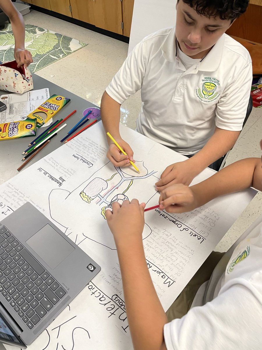 cortezjocelyn98's tweet photo. Projects here! Projects there! Projects everywhere 🤩 

7th graders @TAGinPG are finalizing their body system research posters as we wrap up 7.13A Body Systems 🧠🦷🫀🫁

@DrReyC @AP_Pegues @disdstemscience 
#Region4SayNoMore https://t.co/tctNdBOkmi