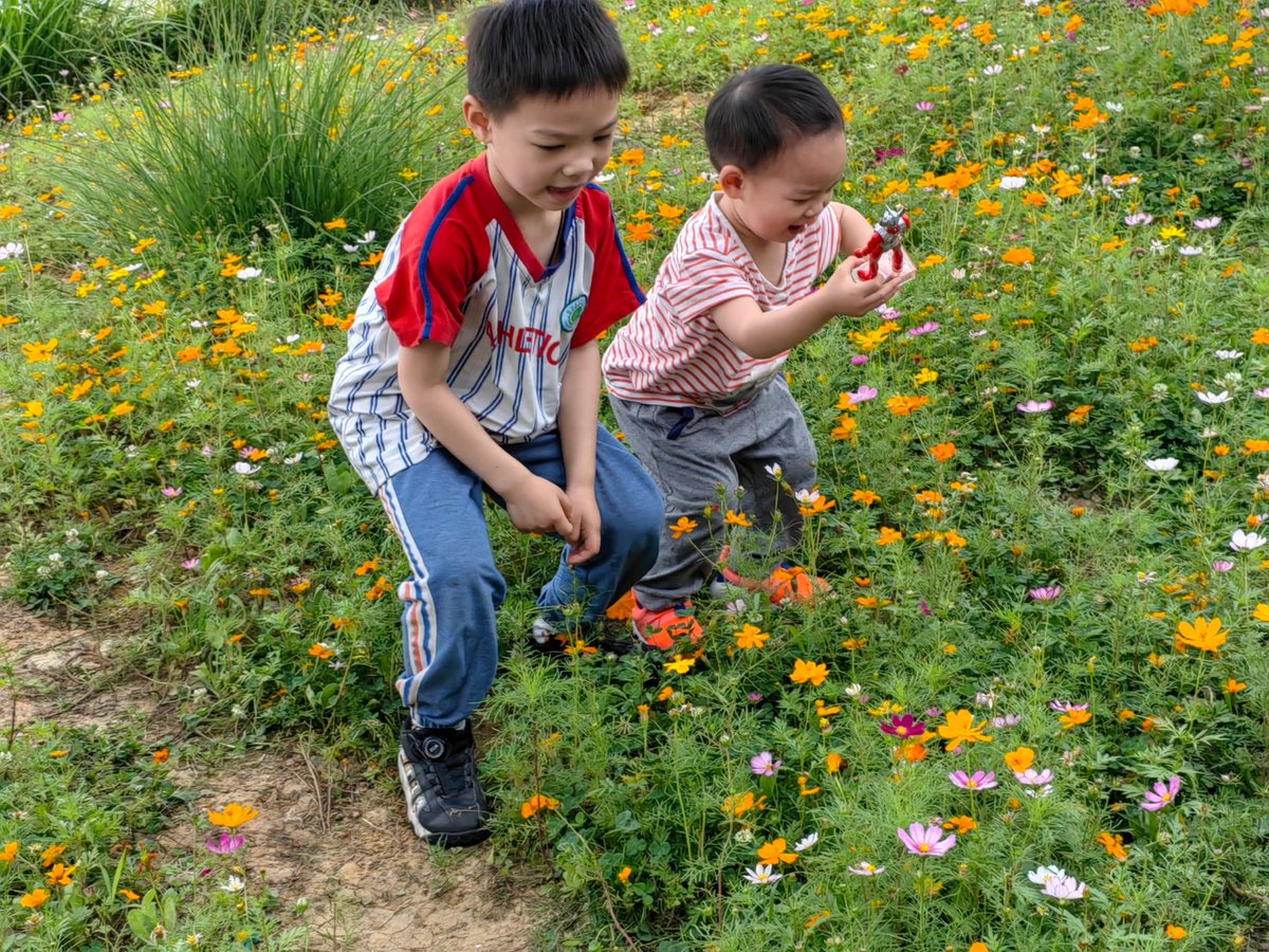 Mackenzieqp5l's tweet photo. Jugamos a buscar tesoros en el parque hoy! Mi hijo encontró una flor roja y yo una piedra brillante -- risas y un momento inolvidable juntos! https://t.co/6pU8n2V3Fy