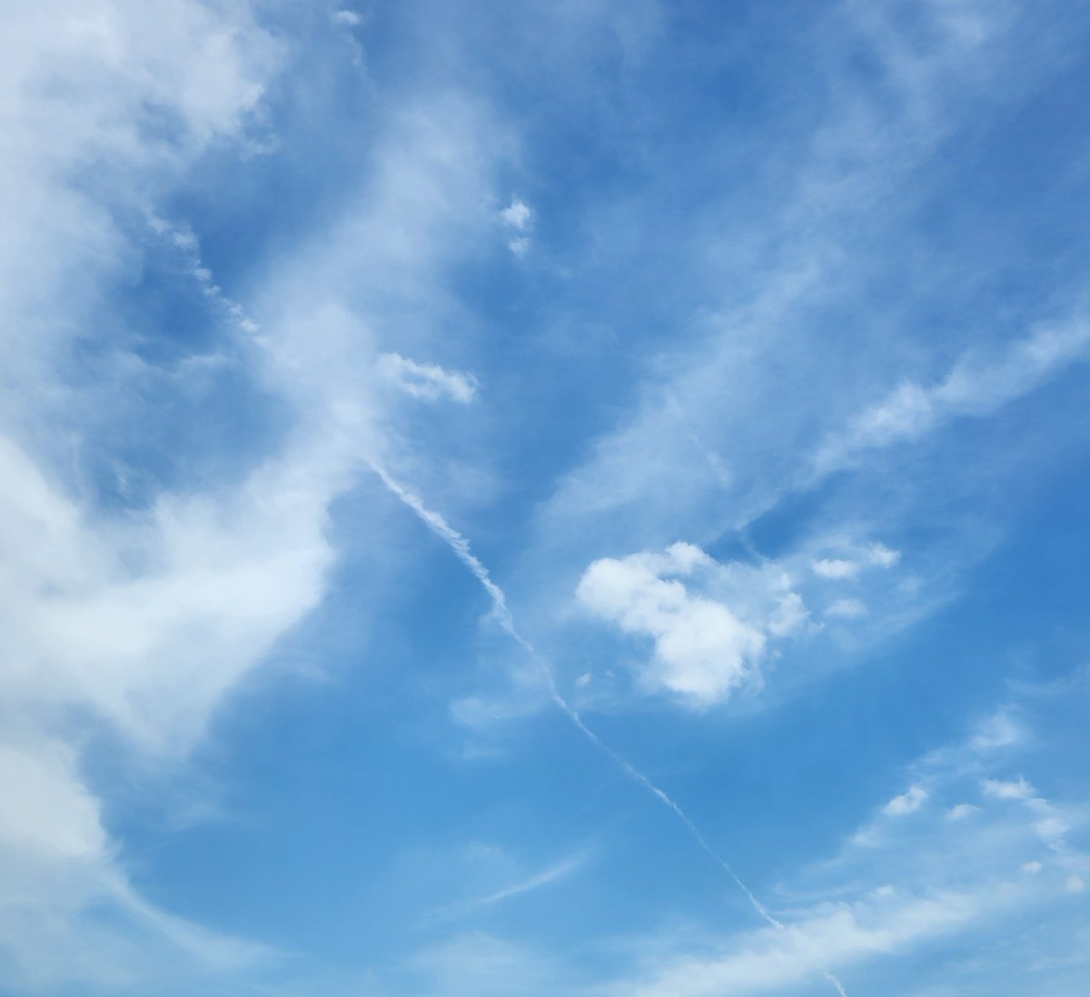 wendylynnromeo's tweet photo. https://t.co/zolptskpcT
#LeeZeldin
#DonaldTrump 
#ClimateControl
#GovGregAbbott
#WeatherControl
#Geoengineering 
#RobertKennedyJr #MAHA
#SolarRadiationManagement
#DrDavidKeith is a Lying Liar!!
#StratosphericAerosolInjections   #BioAvailableFreeFormAluminumNanoParticles https://t.co/b8OmHycvDj