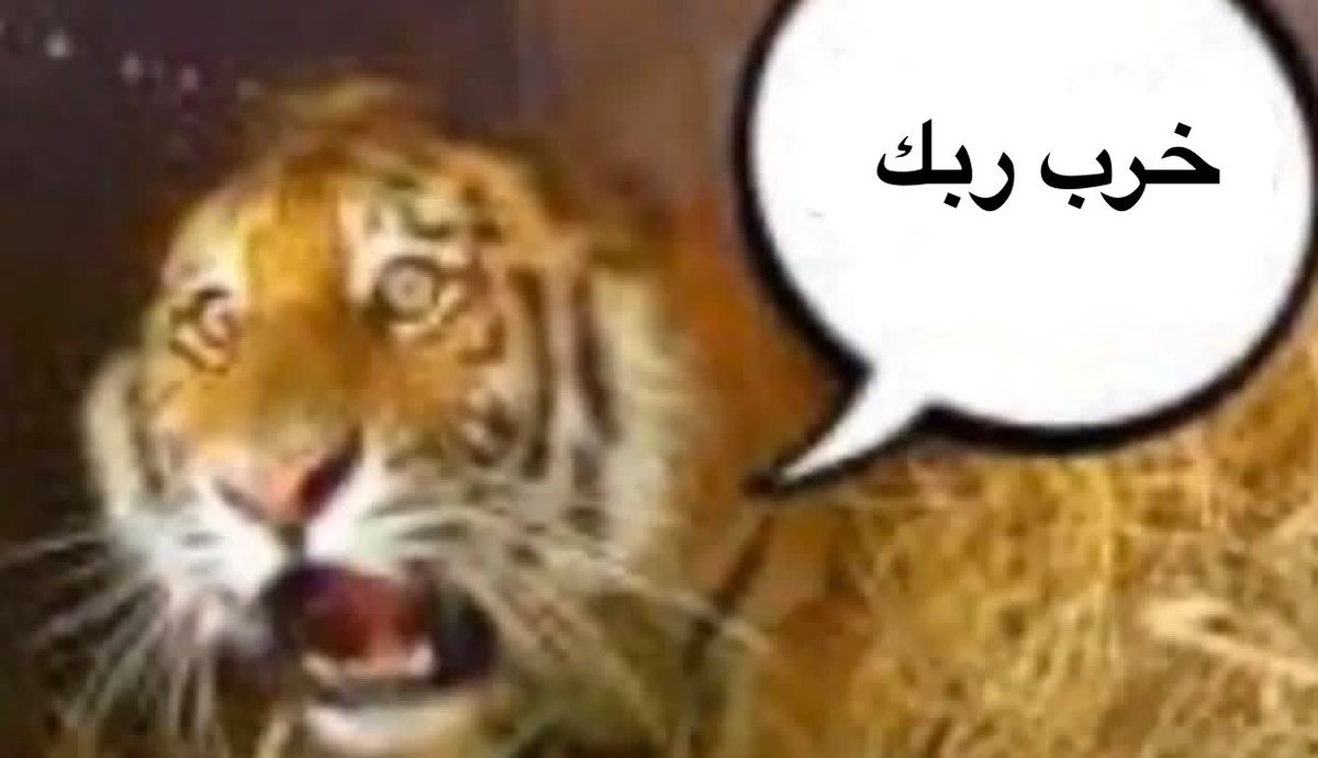 mar695437's tweet photo. @haaaaider4 شكد لكيت عطلات بس مثل هذا ما شفت خرب ربك شكد فارغ وعطل ومحمض العالم كامت تنيج بالقمر واته بعدك تضرب عالمخيله كسم فشلك https://t.co/mb2mRiBh8o