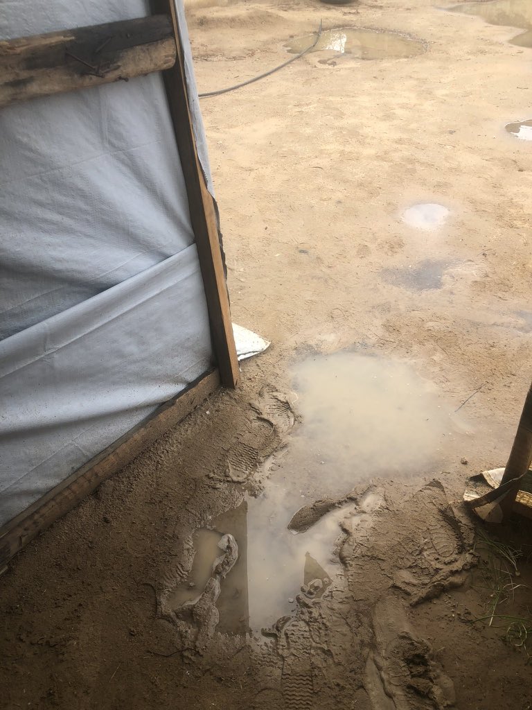 mhmd_s09's tweet photo. My family is trying to prepare for winter by purchasing tent supplies, blankets, and covers, but time is running out. 

Please help us get through the winter by sharing this post and donating 🙏
https://t.co/pAQEnFWZEK https://t.co/468bwwKB3A
