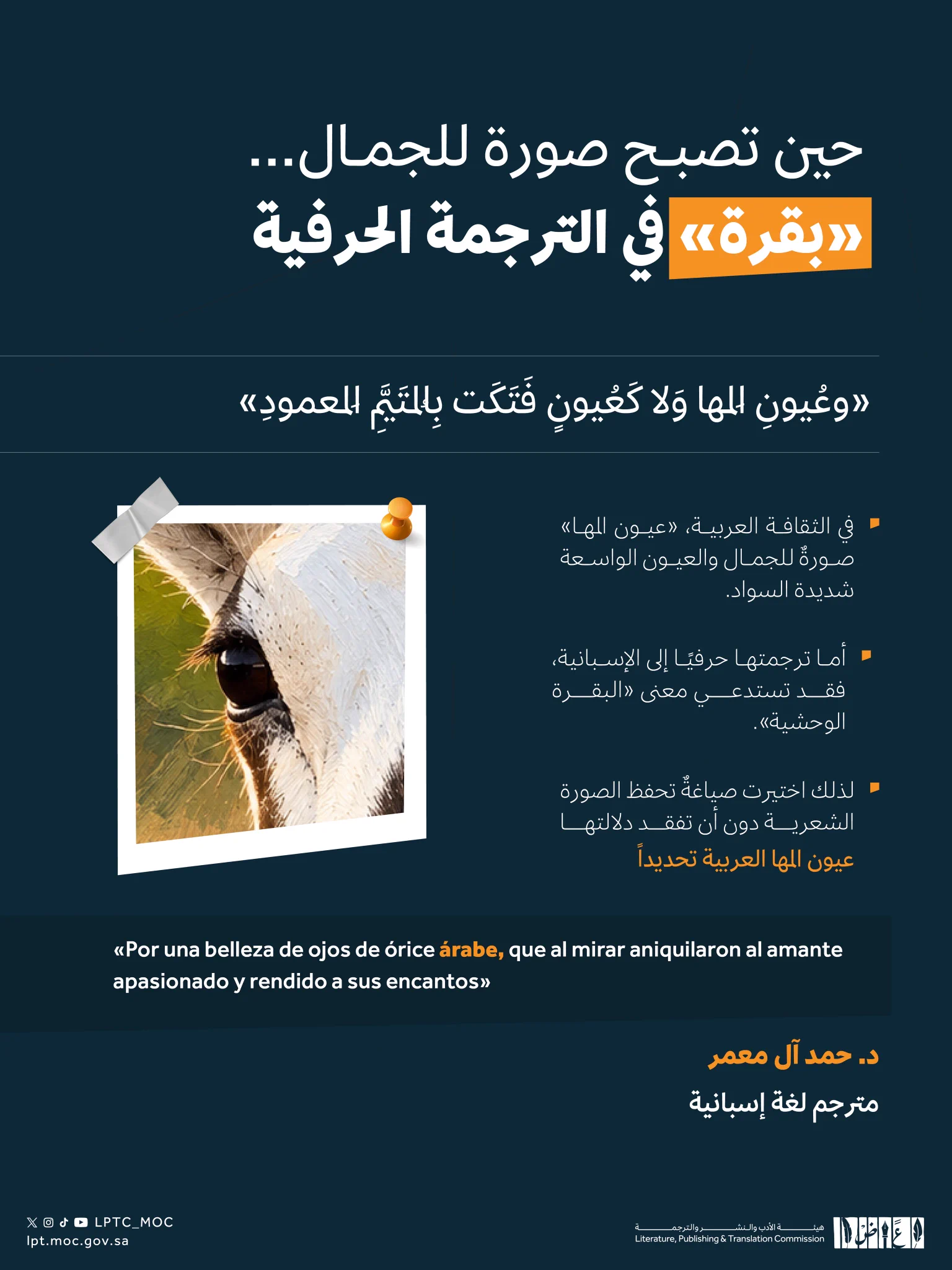 هيئة الأدب والنشر والترجمة (@LPTC_MOC) / X