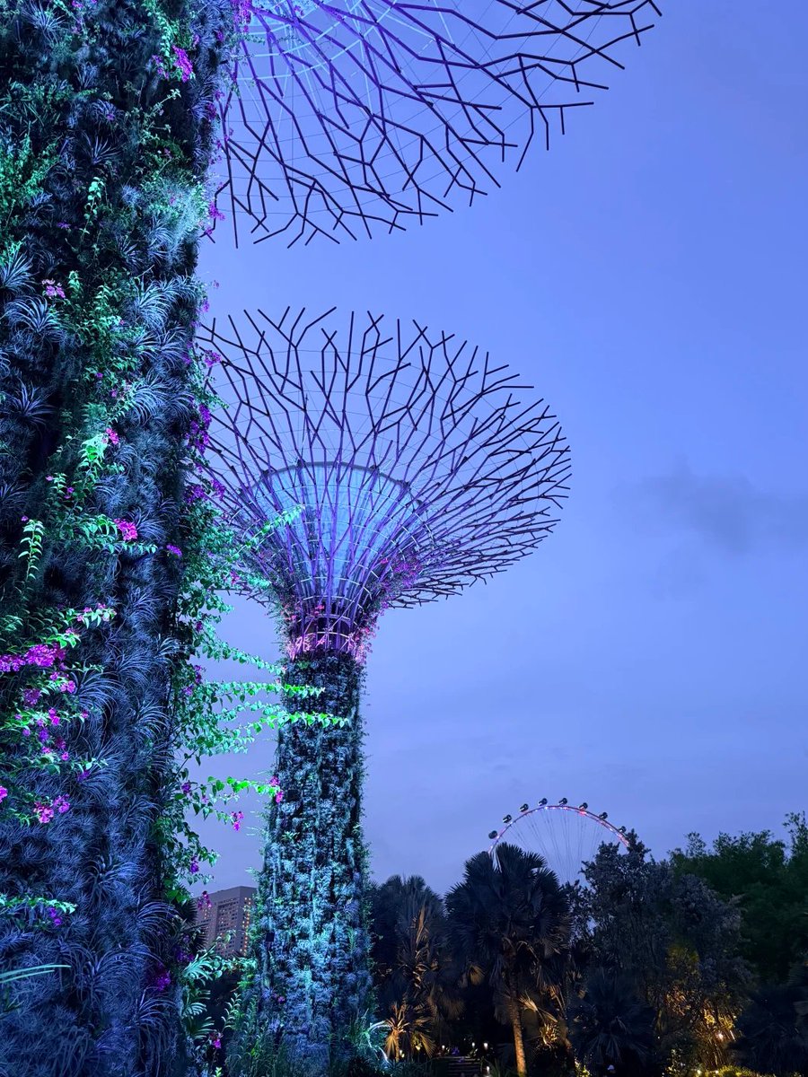 Fairy_Nim20's tweet photo. A Breathtaking Blue Hour https://t.co/4vTQpq2Bq2