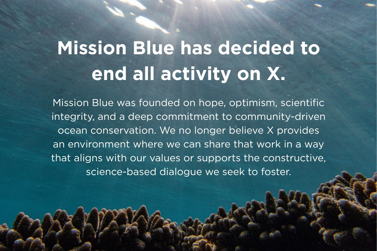 MissionBlue's tweet photo. Come find us on Instagram, Facebook, LinkedIn, and YouTube! 

Read the entire statement at https://t.co/uLF1JaWkWk https://t.co/RXyyT9J4UL