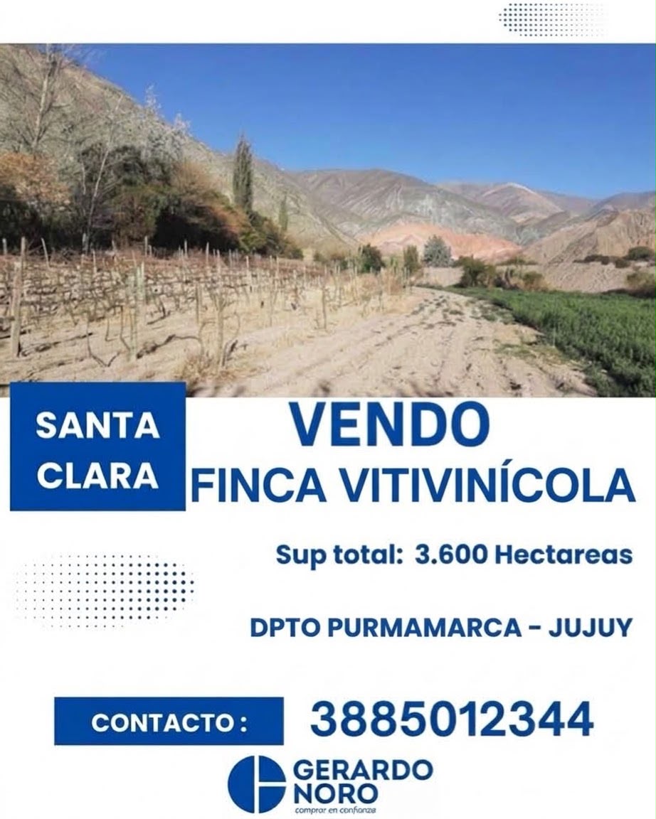 GerardoNoro's tweet photo. ¡OPORTUNIDAD ÚNICA EN EL CORAZÓN DE PURMAMARCA!

Se vende la Finca Vitivinícola "El Reparo", una joya de 3.592 m² ubicada a solo 1.100 metros de la plaza central, entre la Ruta Nacional 52 y los imponentes cerros de la Quebrada.

Consultas al 3885012344 https://t.co/DTQbe1IpF7